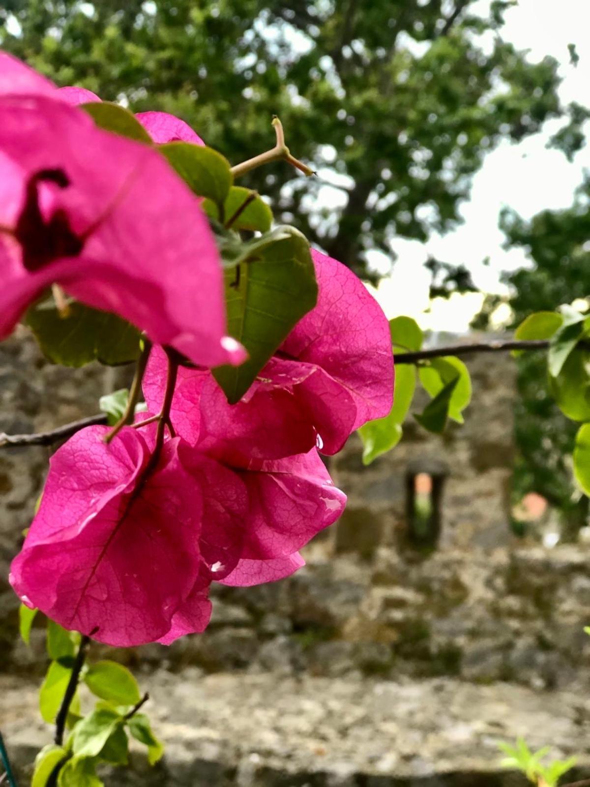 Sideroporta Castle Nafpaktos Guest House Exterior photo